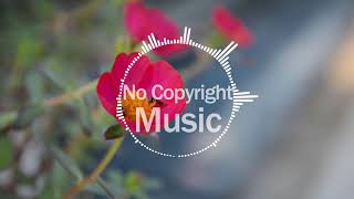 quot No Copyright Music quot Chopin  Nocturne In C Minor B 108 [upl. by Ethelda]