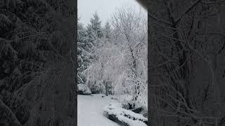 Snow ❄️ in Long Valley NJ [upl. by Kruse]