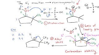 E1 Reaction with Rearrangement [upl. by Airalav94]