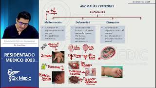 Neonatología  3 Anomalías y patrones [upl. by Scarlet]