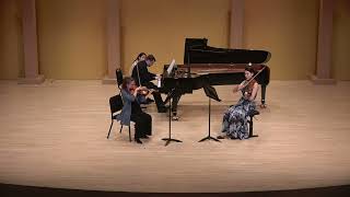 Trio Brahms Op40 pour piano violon et alto cor [upl. by Mcgruter]