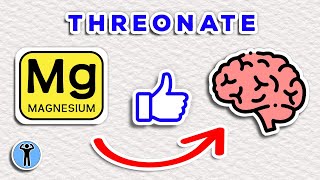 MAGNESIUM LTHREONATE The Brains Best Friend [upl. by Blaire]