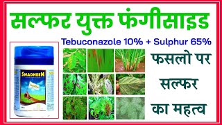 Tebuconazole 10  Sulphur 65 WG Fungicide Swadheen  Contact and Systemic  फफूंद नाशक [upl. by Thun]