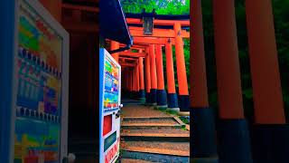 Fushimi inari shrine Kyoto ⛩️ [upl. by Onaicilef]