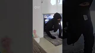 Burglar Breaks And Enters Home Through Pet Door  10 News First [upl. by Malinowski402]