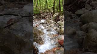 Impressions of Berchtesgaden National Park 🇩🇪 germany berchtesgaden nationalpark [upl. by Mohammad]