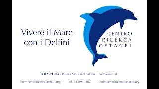 Centro Ricerca Cetacei amp Dronesense [upl. by Edahs]