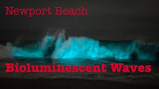 Newport Beach Bioluminescent Waves [upl. by Nirad]