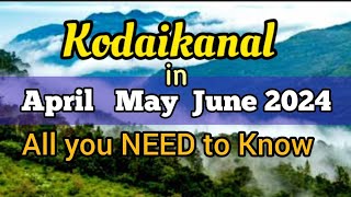 Kodaikanal All you NEED to Know  Best Sightseeing places  Budget Transport Timings Travel [upl. by Ervin]