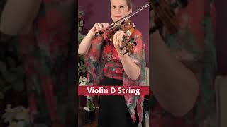 D String Violin [upl. by Kalagher]