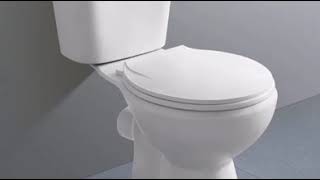 Toilet flush sound effect [upl. by Welch]