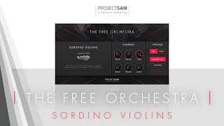 ProjectSAMs The Free Orchestra  2 Sordino Violins [upl. by Fabiolas]