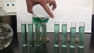 Snail and Elodea Lab Demonstration [upl. by Ayim]