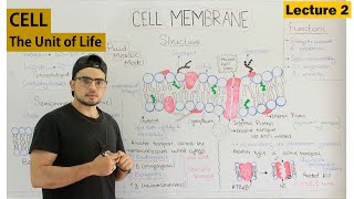 Cell membrane Fluid mosaic model [upl. by Paucker]