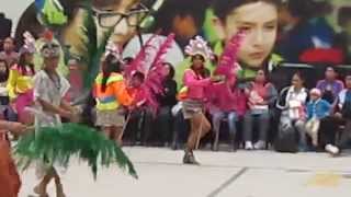 Innova School Parents Days 2014 Baile Danza Flor de Izana [upl. by Jdavie362]