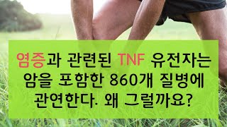 염증과 관련된 TNF 유전자는 암을 포함한 860개 질병 관여한다 왜 그럴까요 [upl. by Assirt]