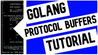 Go Golang Protocol Buffers Tutorial [upl. by Whitcomb]