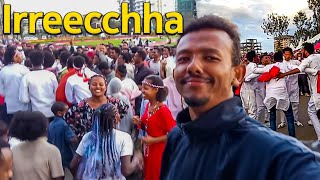 Irreecha Festival 2024  Celebrating Oromo Culture in Addis Ababa [upl. by Yral]