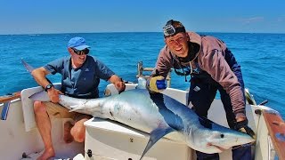 Pêche aux Requins Bleus en OCQUETEAU Olympic 700 avec Expérience Pêche [upl. by Nnylecoj]