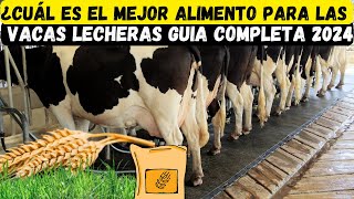 ¿Cuál es el mejor alimento para las vacas lecheras guia completa 2024 [upl. by Furtek852]