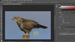 របៀបលុបរូបភាពHow to delete a picture in Photoshop 2024 [upl. by Anaerda]