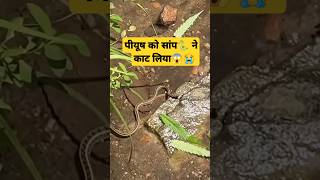 Piyush ne snake 🐍 ko dekha 😱😭 souravjoshivlogs vlog minivlog shorts viral trending snake [upl. by Sema]