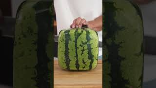 Eating A Square Watermelon [upl. by Chelton]