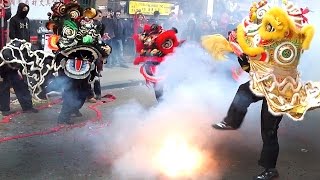 2016 Boston Chinese Freemasons Lion Dance Kids Firecrackers Monkey Lunar New Year Chinatown 🧧💥🧨 [upl. by Ardnaeed]