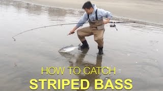 TIPS ON HOW TO CATCH STRIPED BASS  Surf Fishing [upl. by Lorenzana527]