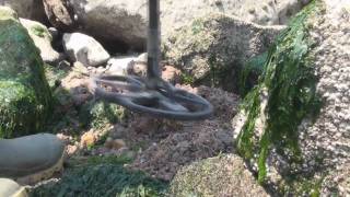 Metal Detecting on the Beach Exmouth UK [upl. by Itsuj]