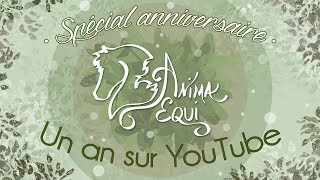 • SPÉCIAL • Rétrospective anniversaire  Un an sur YouTube [upl. by Layor831]