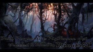 MinatriX  BuschFunK Part6 November 2016Dark  Progressive  Trance Zenonesque [upl. by Raff]