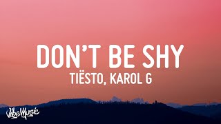 Tiësto amp Karol G  Dont Be Shy Lyrics [upl. by Ailey]