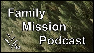 Family Mission  Zero to Hero [upl. by Godber]