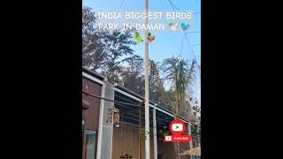 AVIARY BIRDS PARK DAMAN I jamporebeach damanbeach travel travelvlog portugal [upl. by Dettmer]