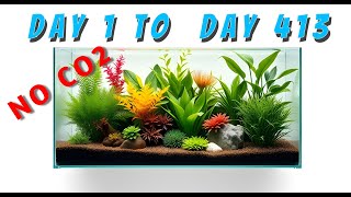 I Tried Growing Plants Without CO2 for 413 Days Heres What Happened [upl. by Eitnom]