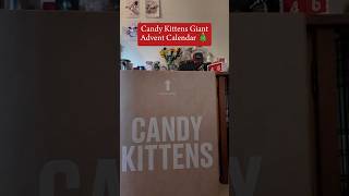 Candy Kittens Giant Advent Calendar Reveal 🎄 christmas adventcalendar [upl. by Lledniw]