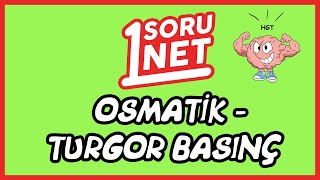 Osmatik  Turgor Basınç482  TYT Biyoloji [upl. by Hairu712]