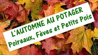 QUE FAIRE AU POTAGER EN AUTOMNE  Poireaux Fèves et Petits Pois [upl. by Eellek]