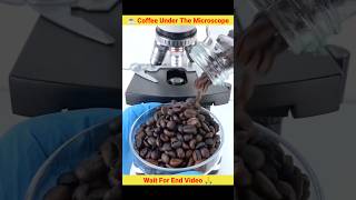 🔥 Coffee Under The Microscope 😱 coffee bean under microscope microscope experiment shorts [upl. by Akiv116]