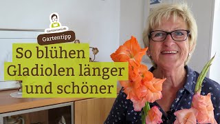 Gladiolen in der Vase Mit diesem Trick blühen Gladiolen länger und schöner [upl. by Bronwen]