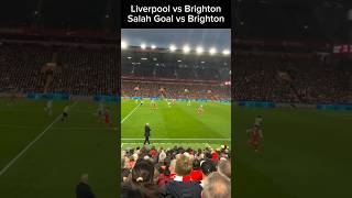 Liverpool vs Brighton highlights [upl. by Bryn673]