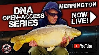 CARP FISHING DNA OpenAccess Series Merrington Carp Fishery [upl. by Tess468]