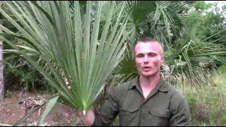 Florida Palm Frond Hat [upl. by Fagan]