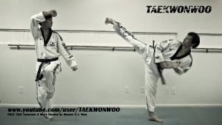 Advanced Taekwondo Kicking Moves Tutorial  TaekwonWoo How to [upl. by Lari]