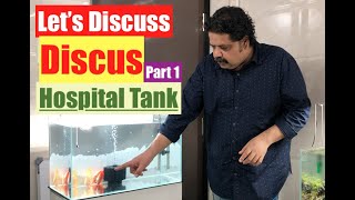 Discus Fish King of Freshwater Aquarium  How to setup Discus hospital tank  How to discus fish [upl. by Atkins18]