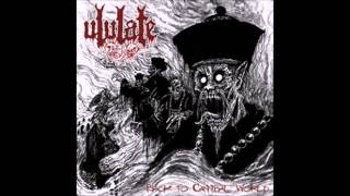 Ululate  Decease and Sadness  Chinese Death Metal [upl. by Wager760]