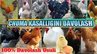 Chuma kasalligi ozi nima va qanday davolasa boladi [upl. by Lehcsreh]