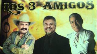 Los 3 Amigos New CD Tejano Mix [upl. by Adniroc]