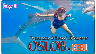 OSLOB CEBU 🐋  Whale Shark Watching 🐳  Cebu Tour Day 2  SWIM with the BUTANDING  Irene Nicer [upl. by Granville]